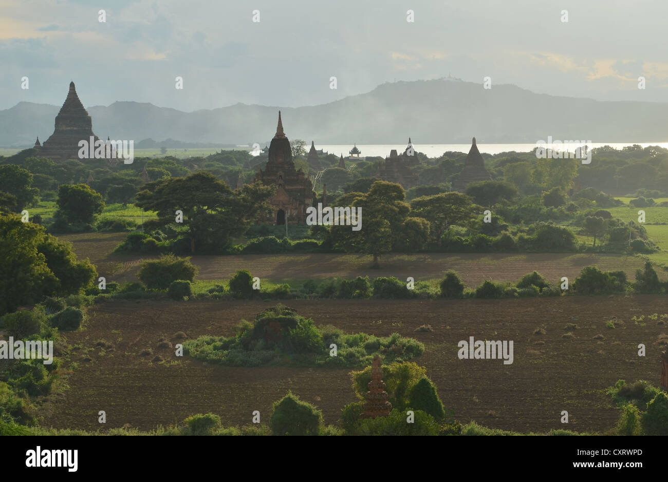Fumo, nebbia nella luce della sera tra i campi, templi e pagode, Tempio di Ananda e Thatbyinnyu Temple, Bagan, Myanmar Foto Stock