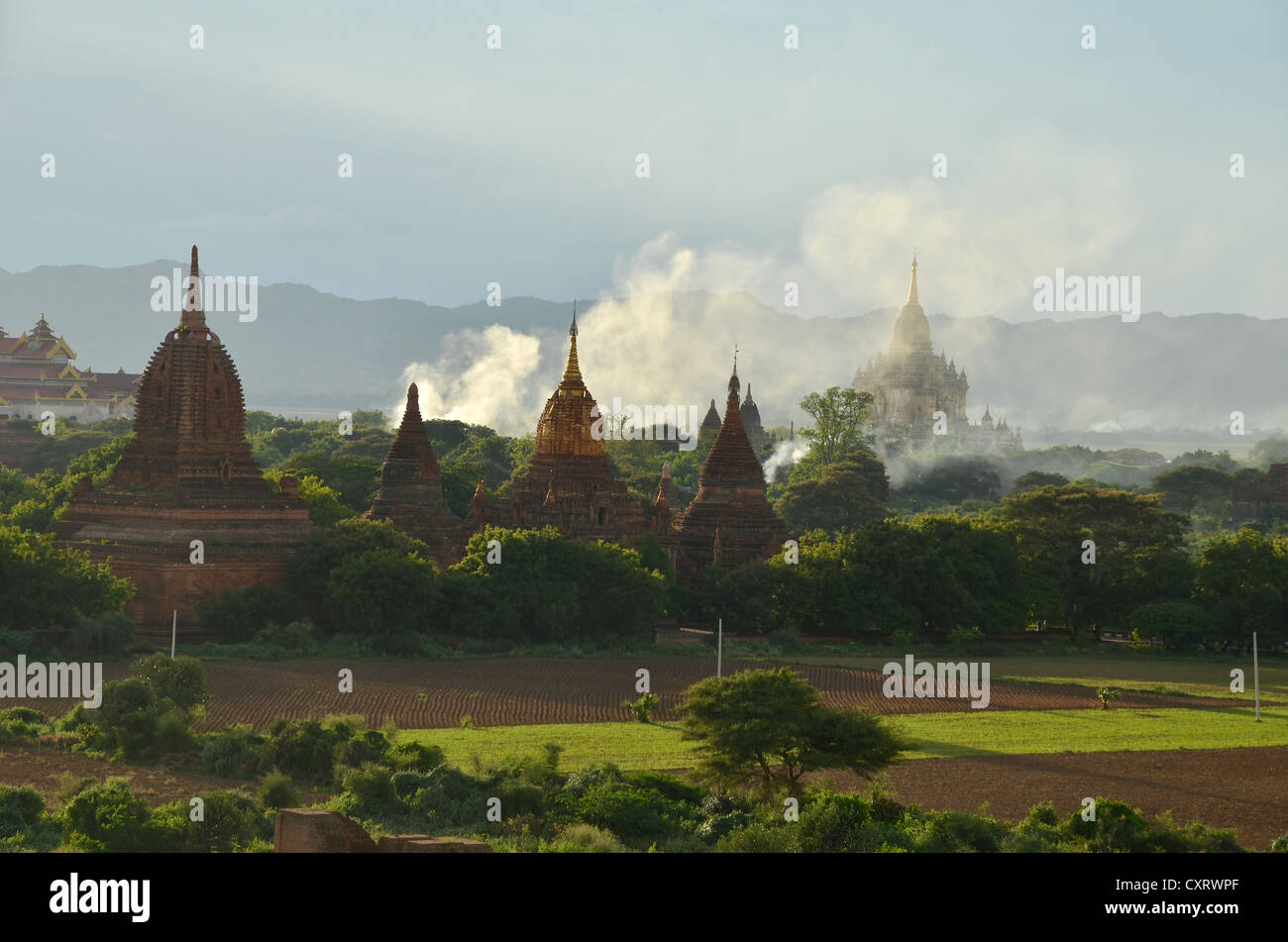 Fumo, nebbia nella luce della sera tra i campi, templi e pagode, Tempio di Ananda e Thatbyinnyu Temple, Bagan, Myanmar Foto Stock