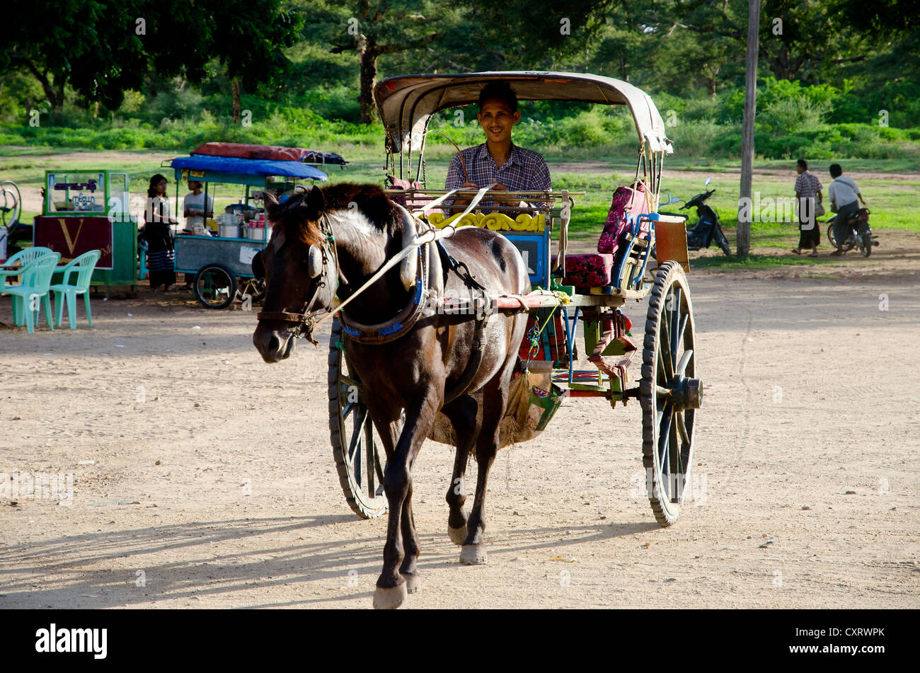 Cavallo e carrello taxi, Old Bagan, Bagan, pagano, Myanmar, Birmania, Asia sud-orientale, Asia Foto Stock