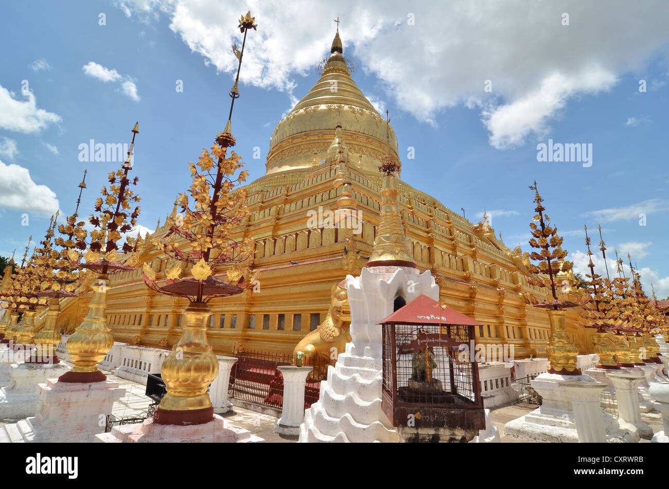 Golden Shwezigon Pagoda, Bagan, MYANMAR Birmania, Asia sud-orientale, Asia Foto Stock