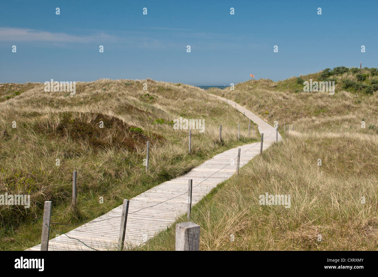 Il Boardwalk, Spiekeroog, Frisia orientale, Bassa Sassonia, Germania, Europa Foto Stock