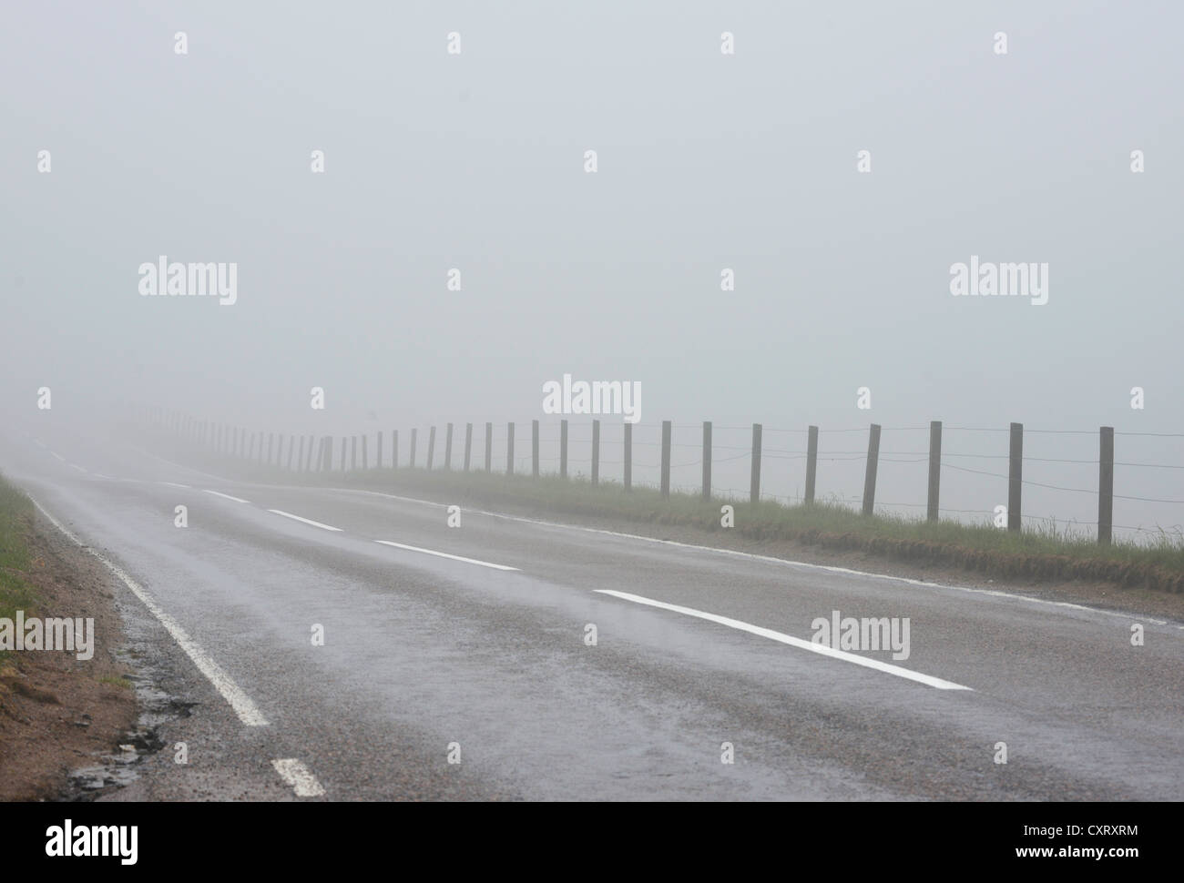 Nebbia fitta su una strada nelle Highlands scozzesi, Grampian Mountains, Scotland, Regno Unito, Europa Foto Stock