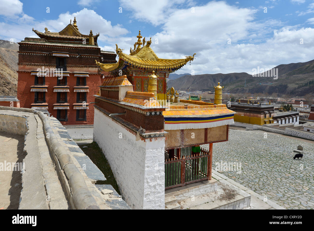 Buddismo tibetano, stile tradizionale edificio del monastero con tetti dorati, Labrang Monastero, Xiahe, Gansu Foto Stock