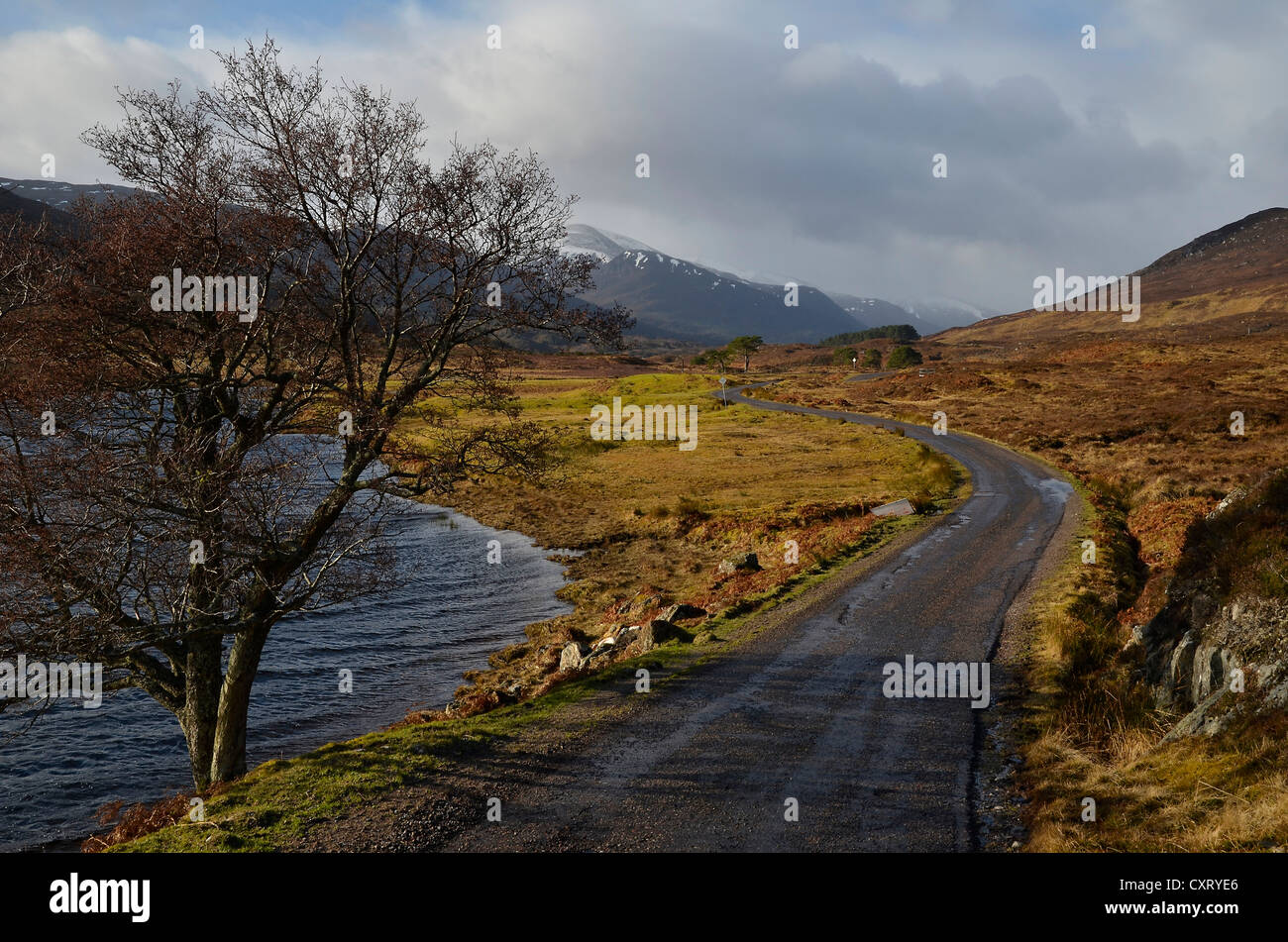 Piccola strada su Loch Sealbhannach, Singletrackroad in Glen Cannich, Highlands in inverno, Scotland, Regno Unito, Europa Foto Stock