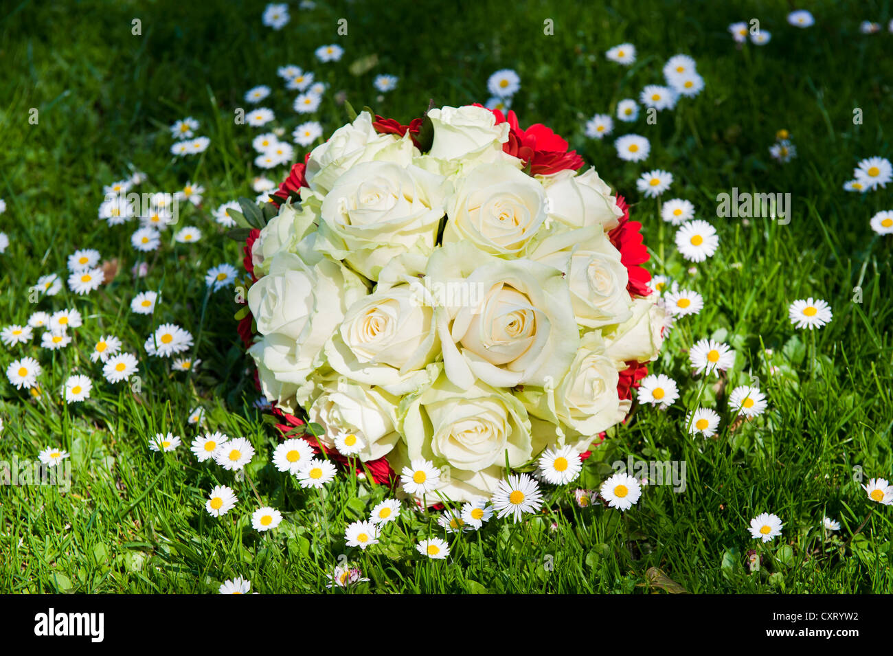 Bouquet nuziale sdraiati su un prato fiorito Foto Stock