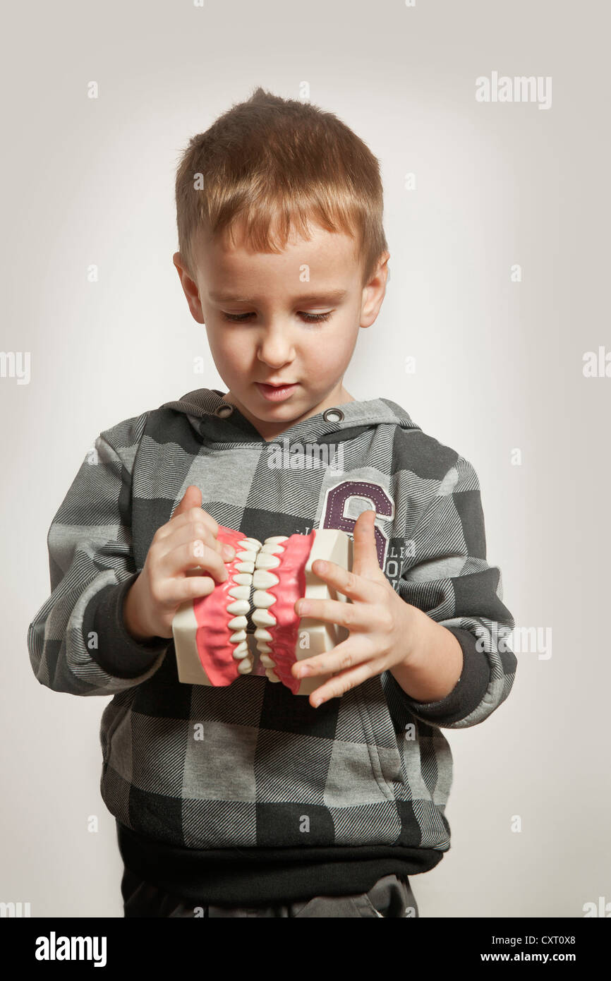 Ragazzo tenendo un dentale modello di denti Foto Stock