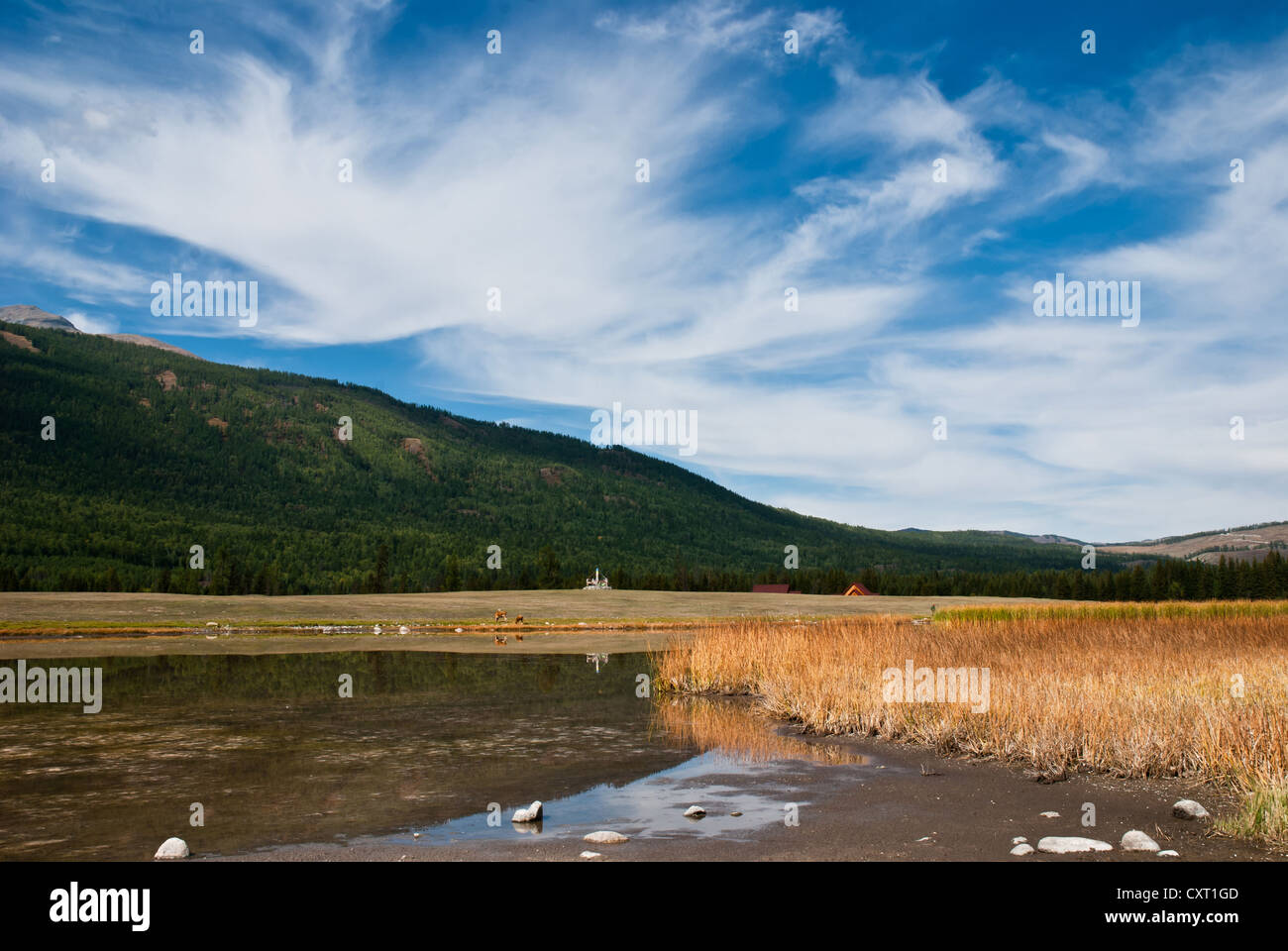 Cina Xinjiang scenario, Kala Si Lago Foto Stock