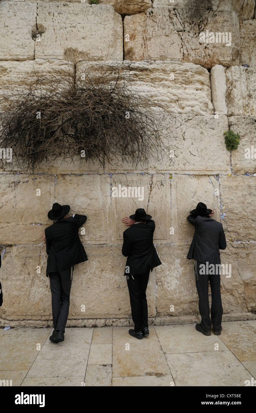 Gli ebrei ortodossi pregano, Muro occidentale o Muro del Pianto, Gerusalemme, Israele, Medio Oriente Foto Stock