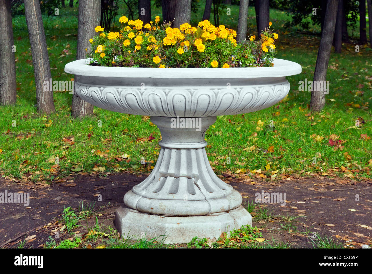 Il marmo antico la produzione di massa di vaso con autunno Calendula francese Petite arancione (Tagetes patula) fiori sorge nel parco della città. Sele arte Foto Stock