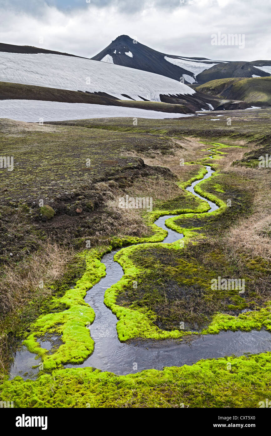 Un meandro creek, circondato da verde brillante moss, sotto Krakatindur montagna, Fjallabak Riserva Naturale, altipiani di Islanda Foto Stock