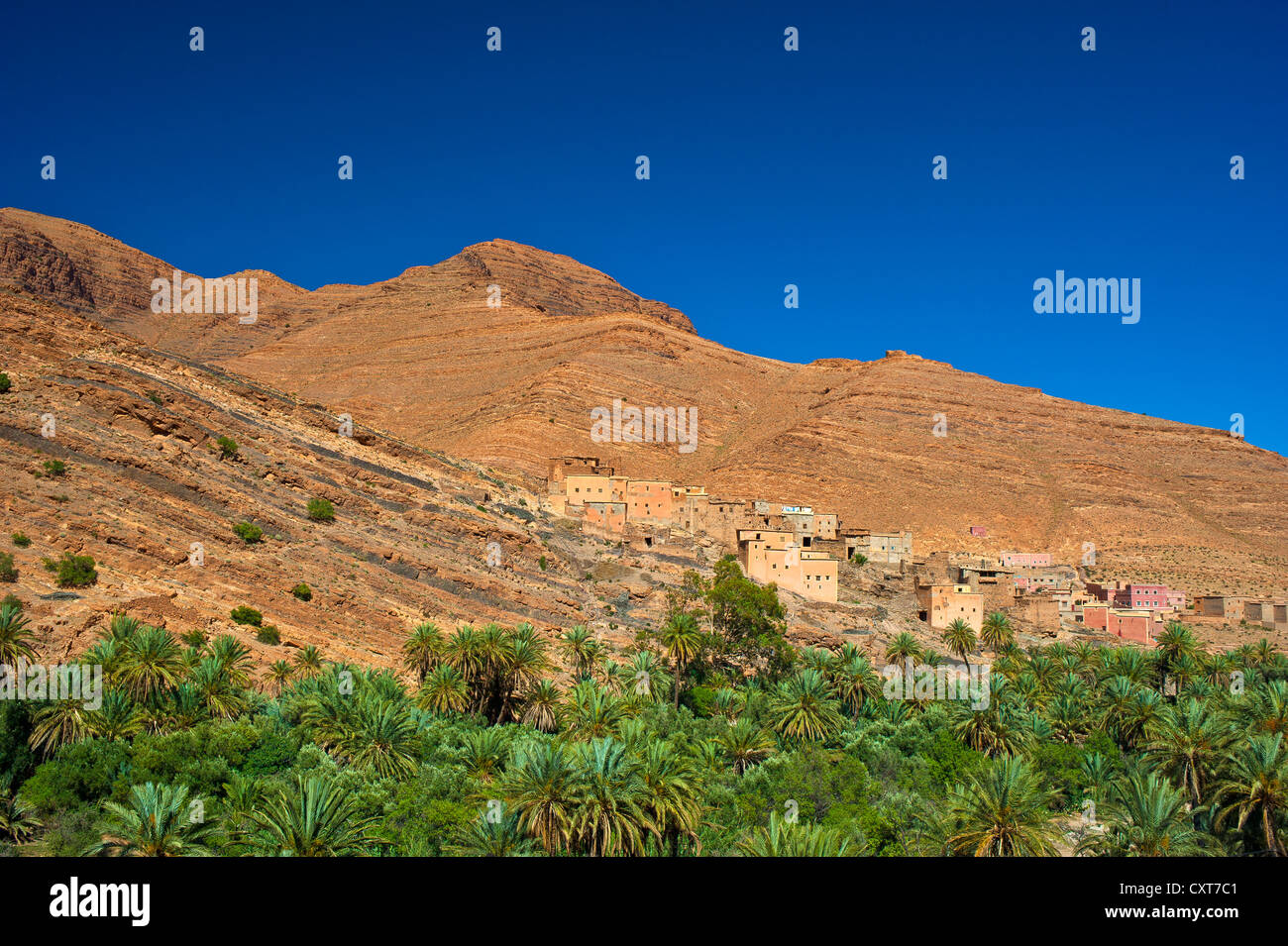 Piccolo villaggio di argilla su un pendio al di sopra di un boschetto di palme in Ait Mansour valley, Anti-Atlas montagne, sud del Marocco, Marocco Foto Stock