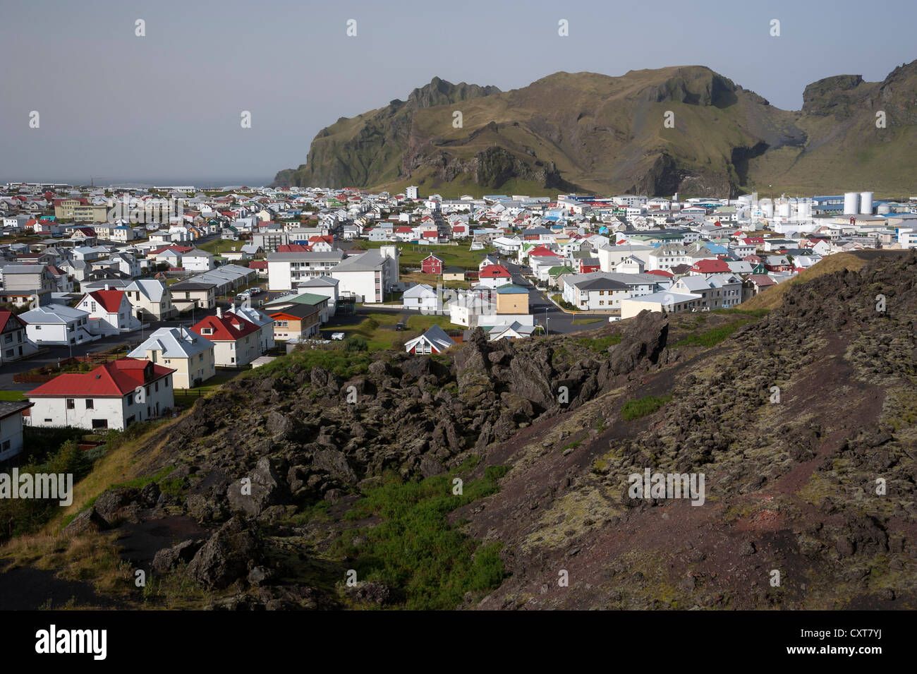 Eldfell campo di lava e la città di Vestmannaeyjar, Isola di Heimaey, Isole Westman, sud dell'Islanda o Suðurland, Islanda, Europa Foto Stock