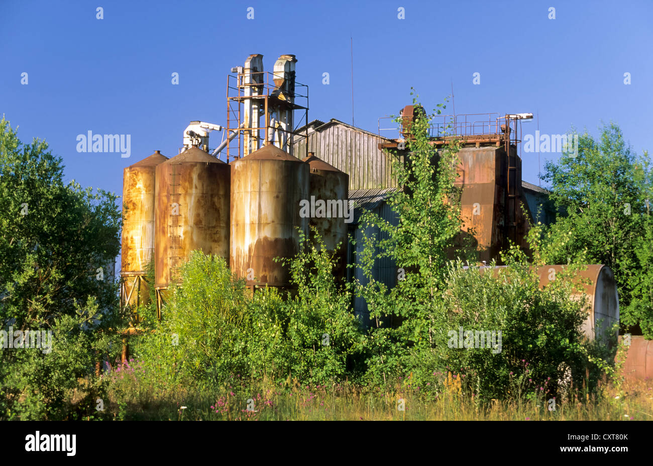 Abbandonato silos per il grano, tipico delle reliquie dei tempi sovietici, Lituania, Europa PublicGround Foto Stock