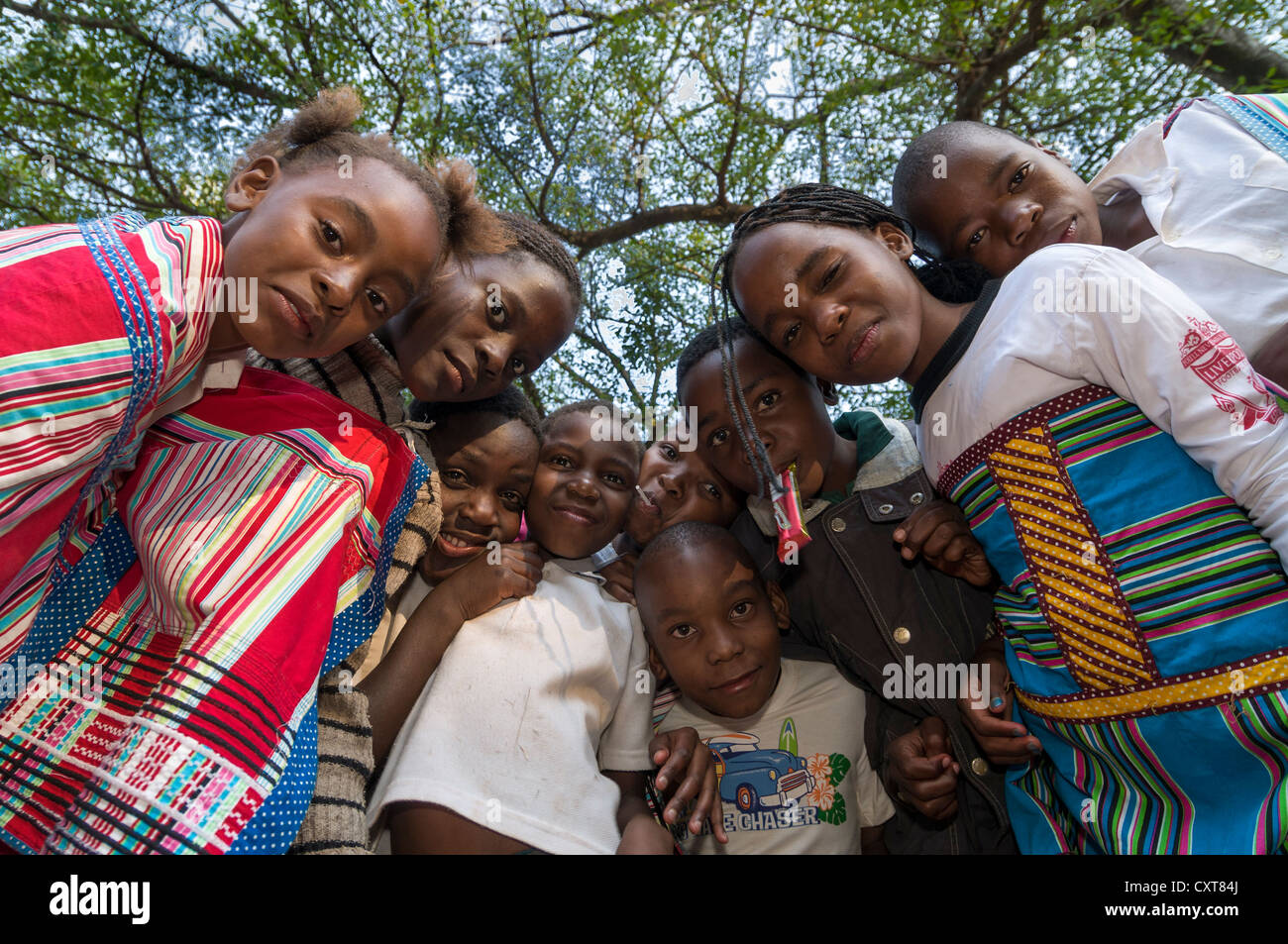 Tradizionalmente i bambini vestiti in un festival, Venda, Limpopo, Sud Africa e Africa Foto Stock