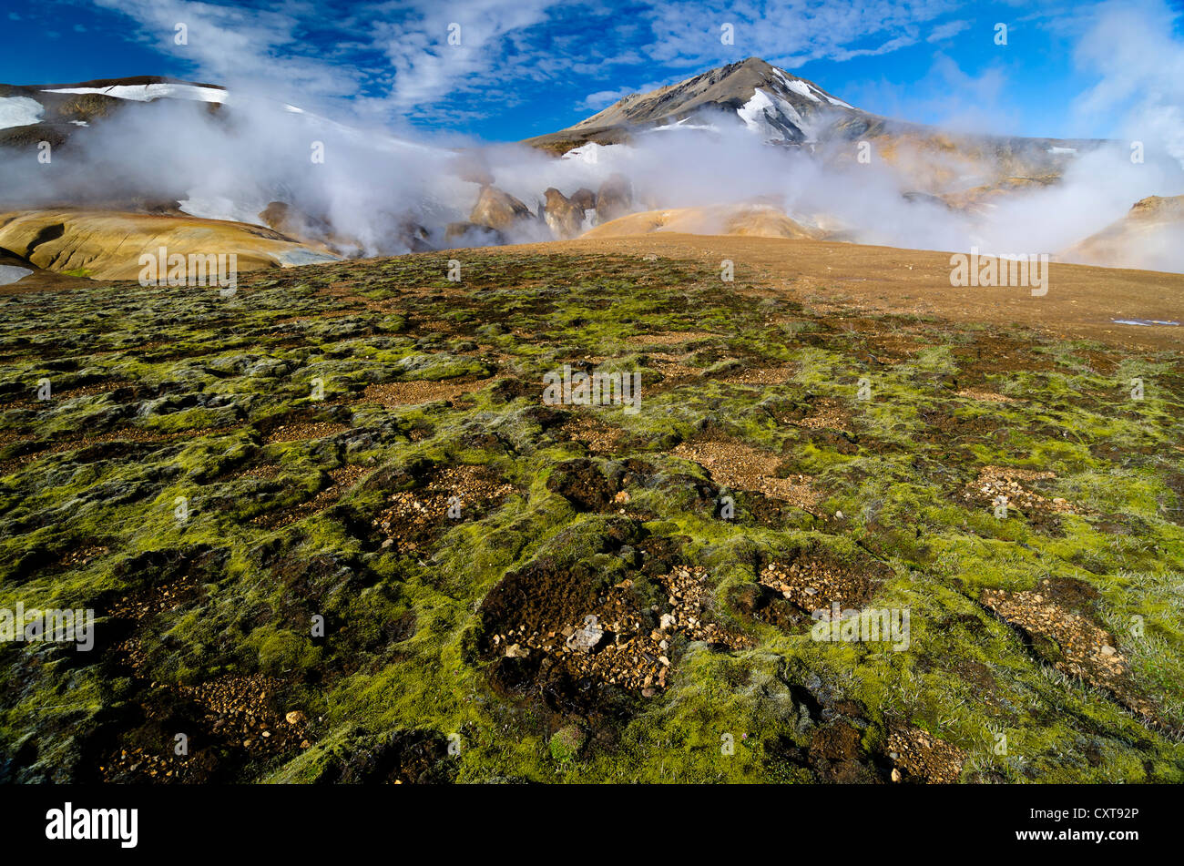 Moss, sorgenti calde e innevate montagne di riolite, Hveradallir regione ad alta temperatura, Kerlingarfjoell, altopiani, Islanda Foto Stock