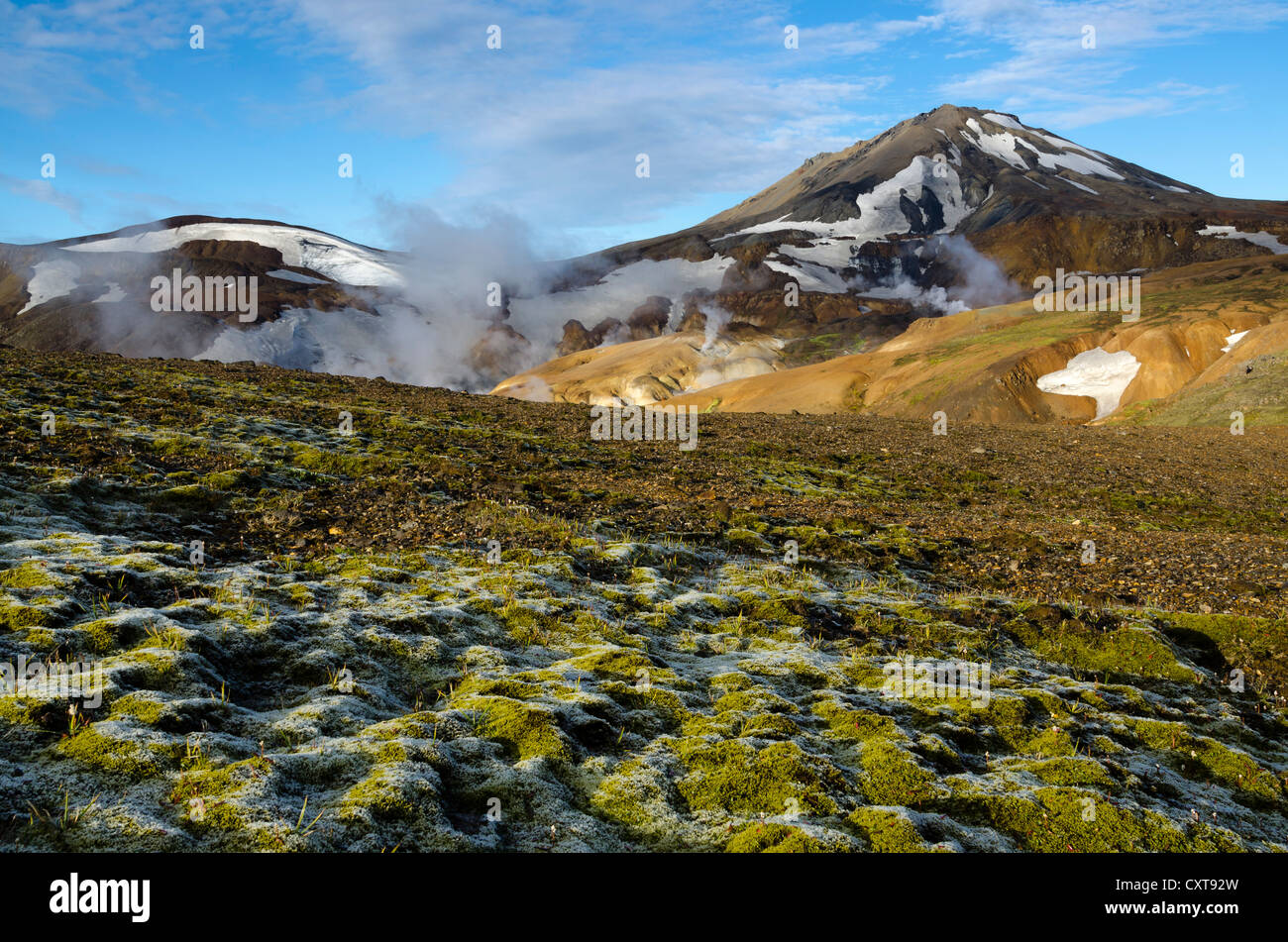 Moss, sorgenti calde e innevate montagne di riolite, Hveradallir regione ad alta temperatura, Kerlingarfjoell, altopiani, Islanda Foto Stock