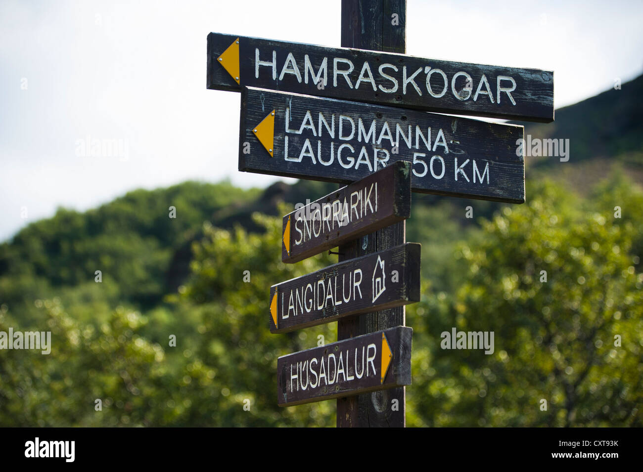 Segnaletica all'Laugavegur Hiking trail, Emstrur-Þórsmoerk, Thorsmoerk, altopiani, Islanda, Europa Foto Stock