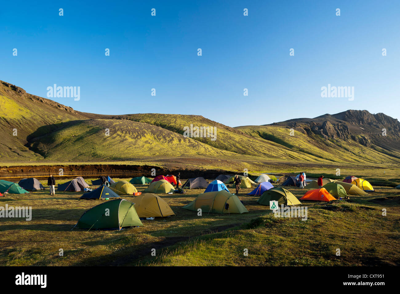 Álftavatn campeggio, montagne coperte di muschio sul Laugavegur Hiking trail, Hrafntinnusker-Álftavatn, Mýrdalsjoekull Foto Stock