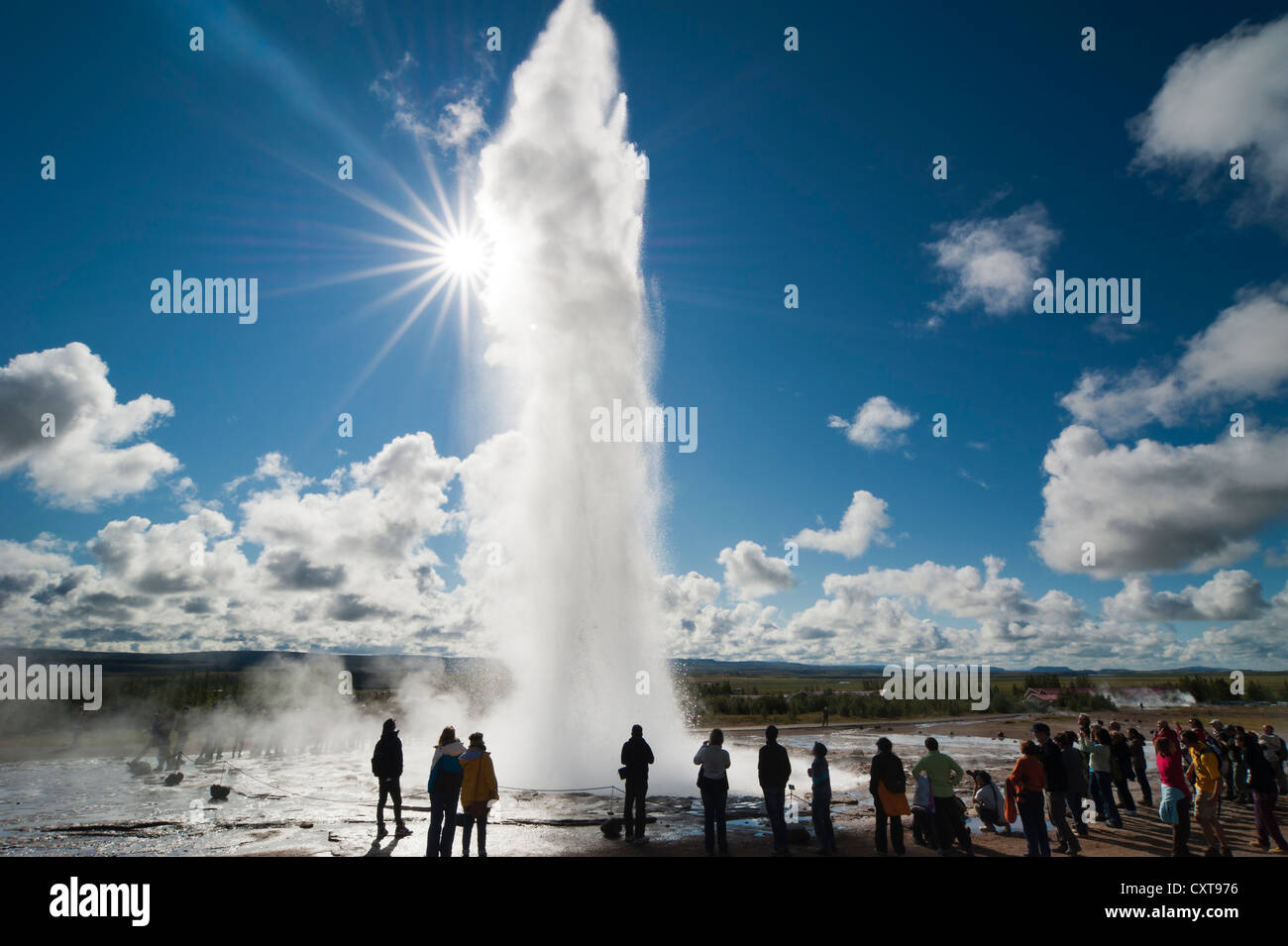 I turisti la visione di vapore ed un becco di acqua, Strokkur geyser, retroilluminato, Haukadalur valley, Golden Circle, Suðurland, Sudurland Foto Stock