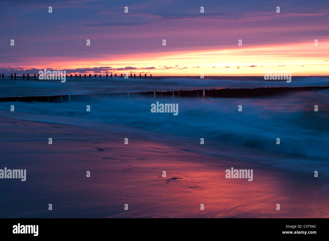 I frangiflutti in rosa luce della sera, sea resort di Zingst, Fischland-Darss-Zingst, Mar Baltico, Meclemburgo - Pomerania occidentale, Foto Stock