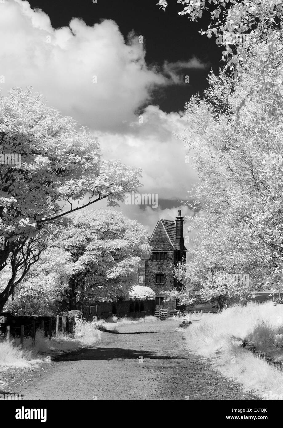 Torre di piccione, leva Park, Rivington Foto Stock