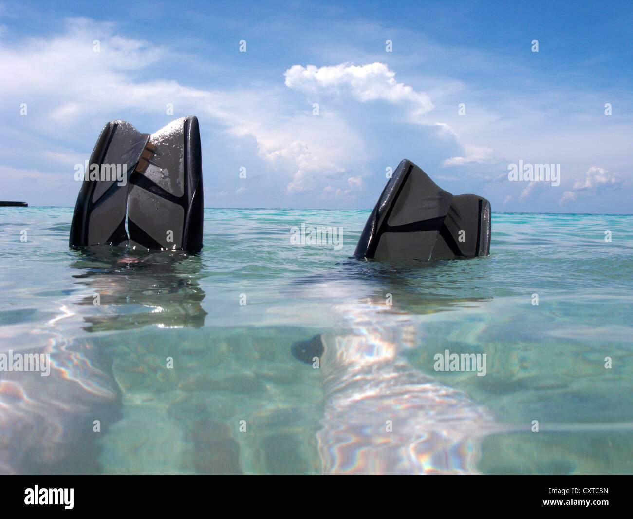 L'uomo floating indossare pinne pinne Dry Tortugas Florida keys usa Foto Stock