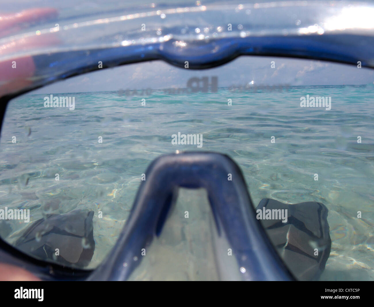 Guardando attraverso lo snorkel maschera subacquea Dry Tortugas Florida keys usa Foto Stock