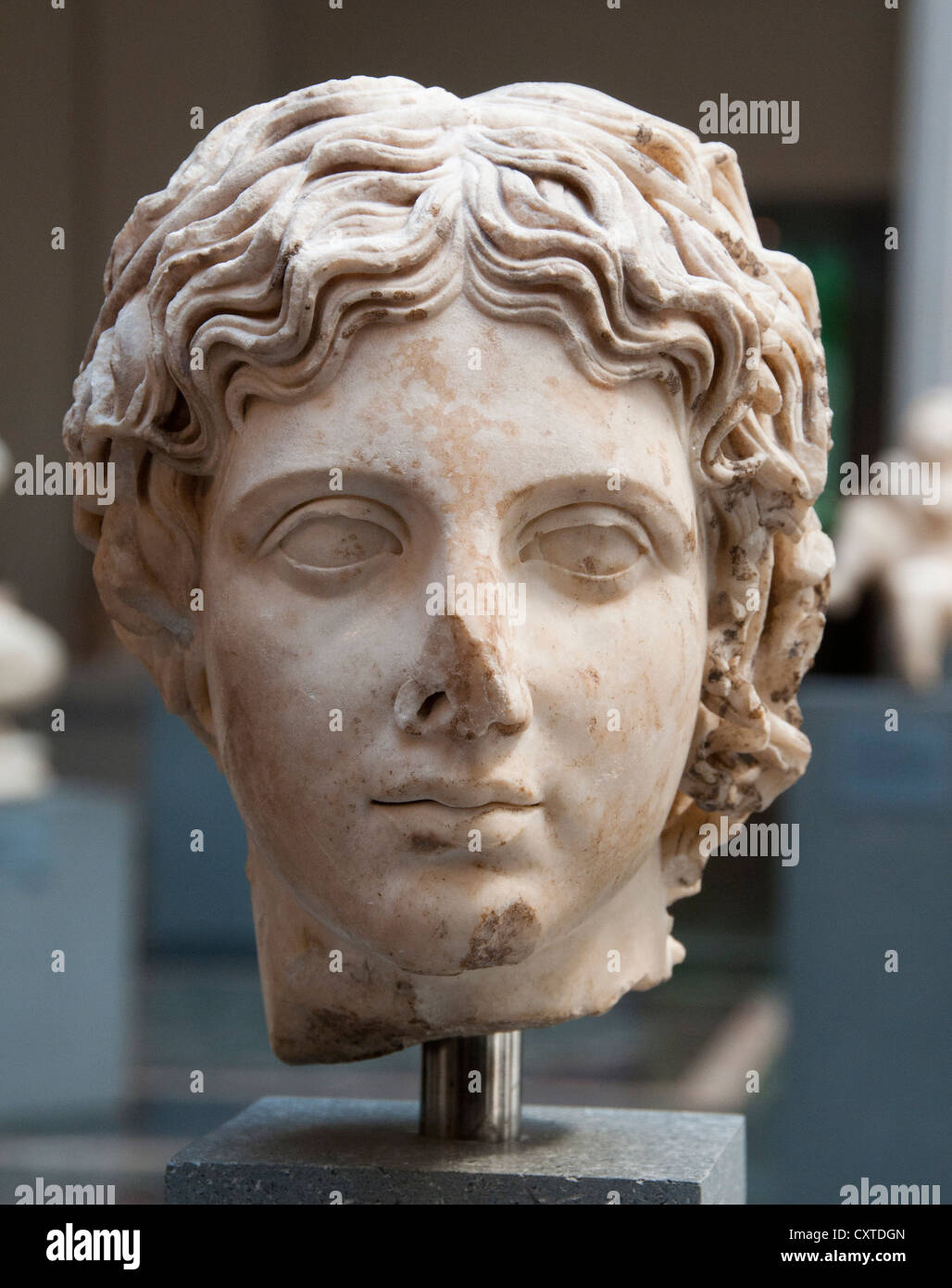 Testa di marmo di una gioventù romana periodo adrianea 117-161 AD Italia Italiano Foto Stock