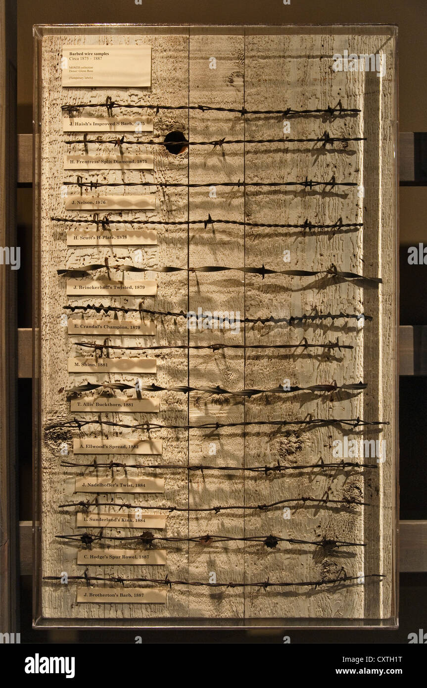 Filo spinato campioni (1875-1887), il Museo del South Texas storia, Edinburg, Rio Grande Valley, Texas, Stati Uniti d'America Foto Stock