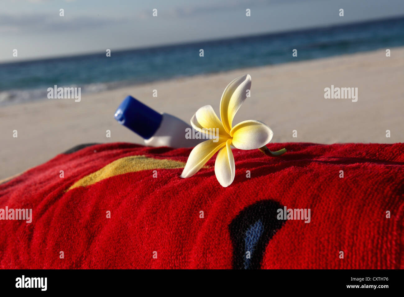 Fiore e schermo solare sul asciugamano sulla spiaggia Foto Stock
