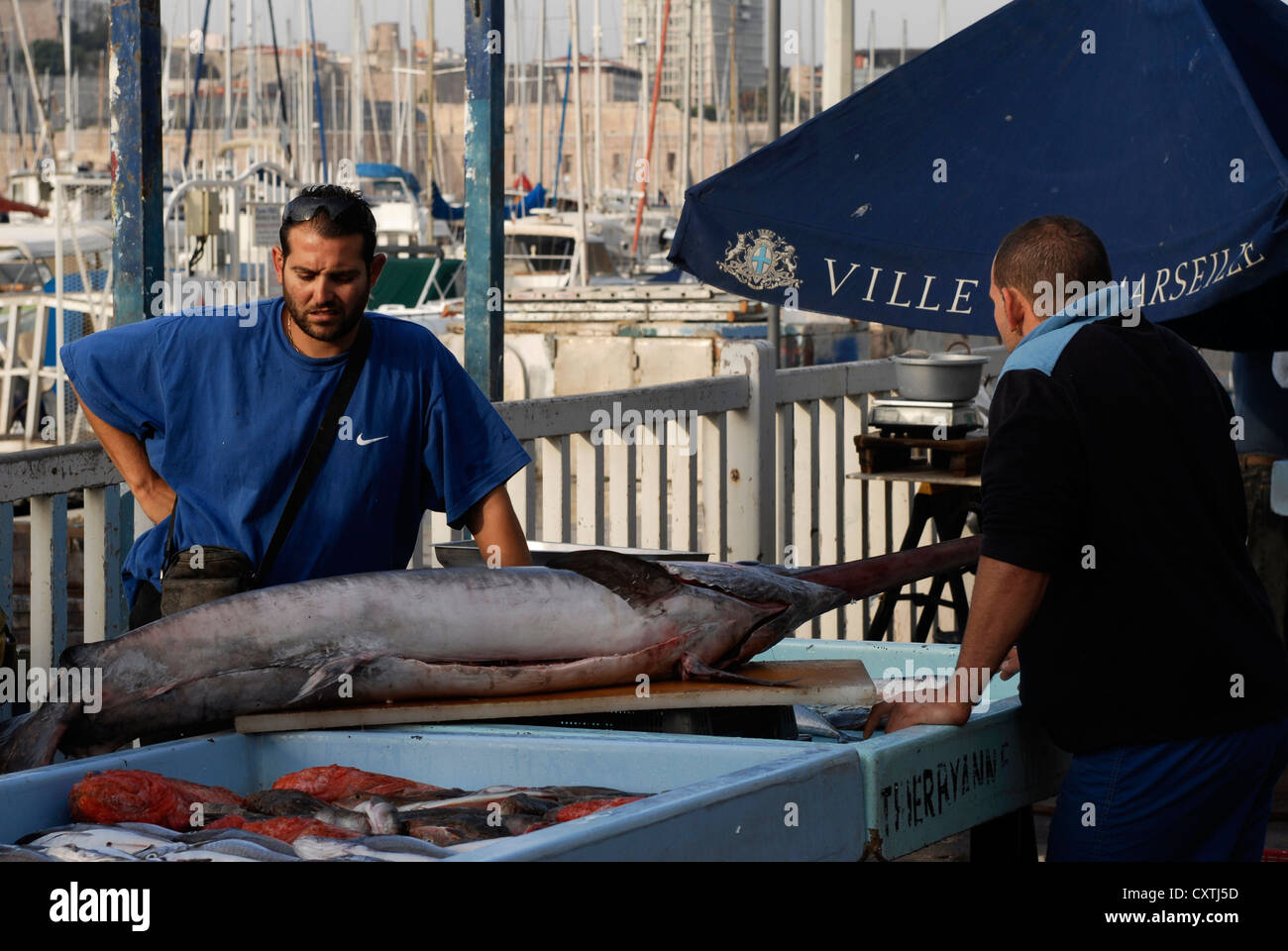 Mercato del Pesce, Marche aux Poissons, Au Vieux Port , Marsiglia Provence Alpes Cote d Azur, Bouches du Rhone, Francia Foto Stock