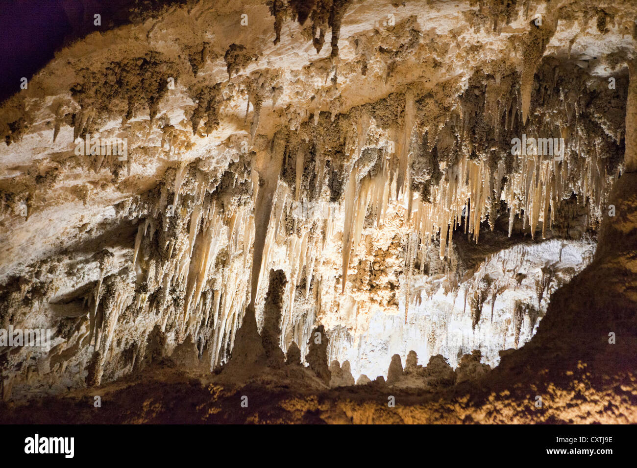 Carlsbad Caverns, Nuovo Messico, grotta paesaggio interiore Foto Stock