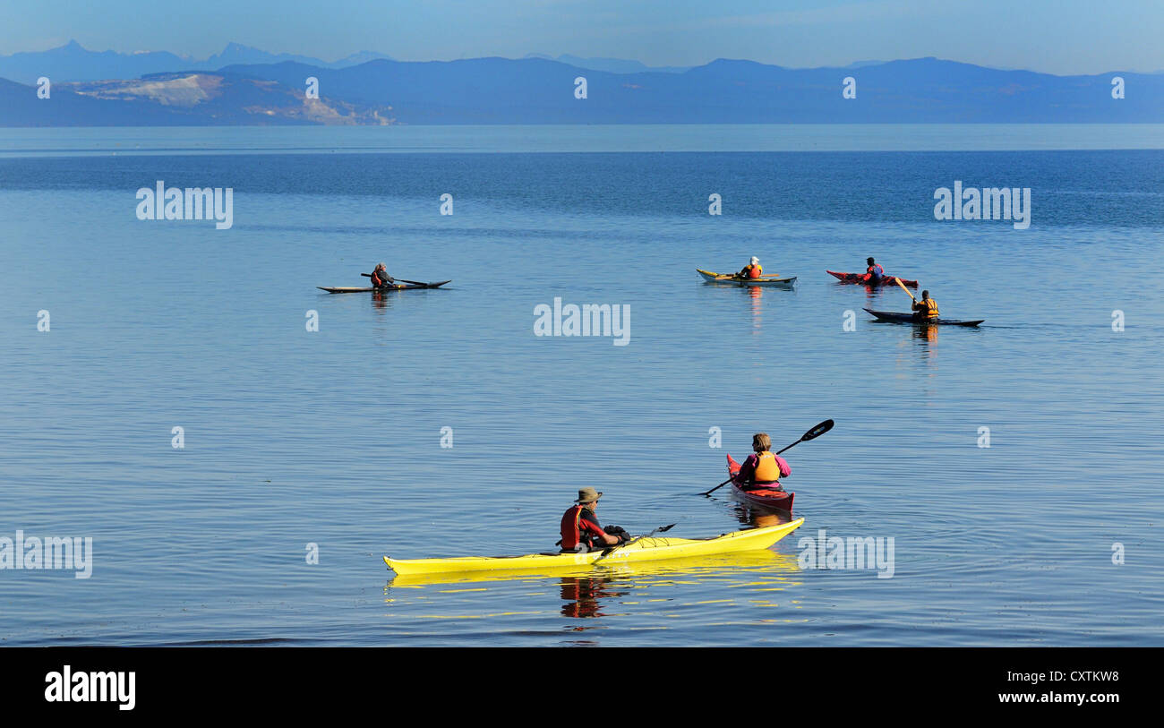 Un gruppo di persone di impostazione nelle loro canoe sullo Stretto di Georgia, Comox Valley, British Columbia, Canada. Foto Stock