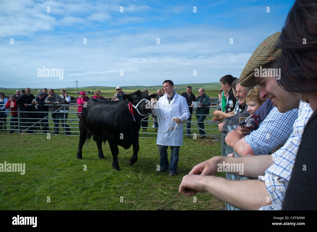 Dh West terraferma mostra di DOUNBY folla delle Orkney e agricoltore sfilando bull in mostra ad anello di bovini del Regno Unito popolazione agricola Foto Stock