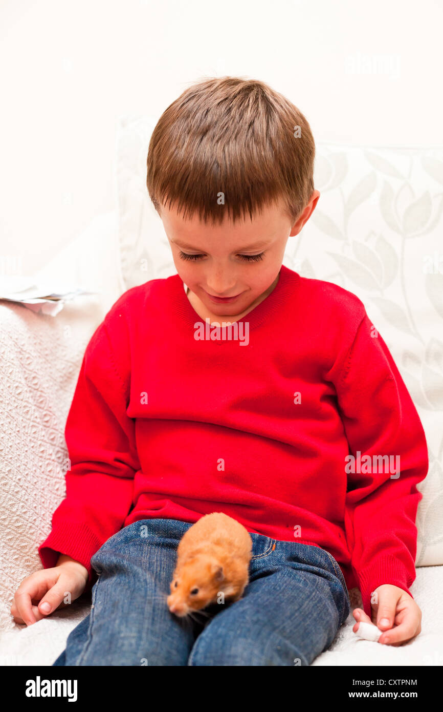 Un bambino di 5 anni ragazzo con un criceto pet Foto Stock