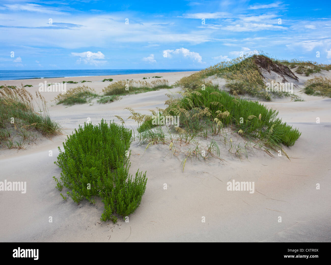 Il segnale di PEA Island National Wildlife Refuge, North Carolina dune scolpite del segnale di PEA Island, Cape Hatteras Foto Stock