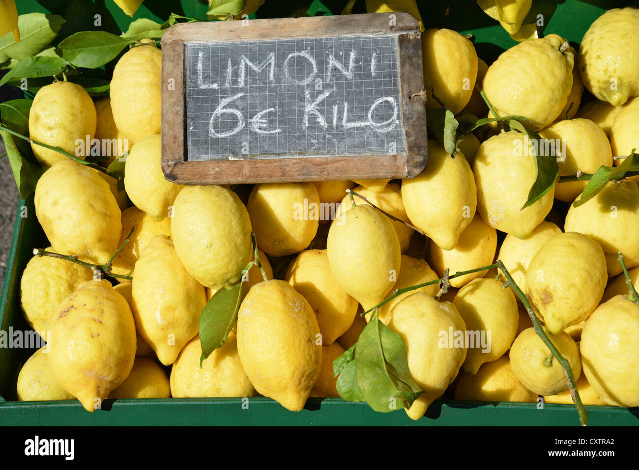 Limoni per la vendita in stallo street, Sirmione sul Lago di Garda, provincia di Brescia, regione Lombardia, Italia Foto Stock