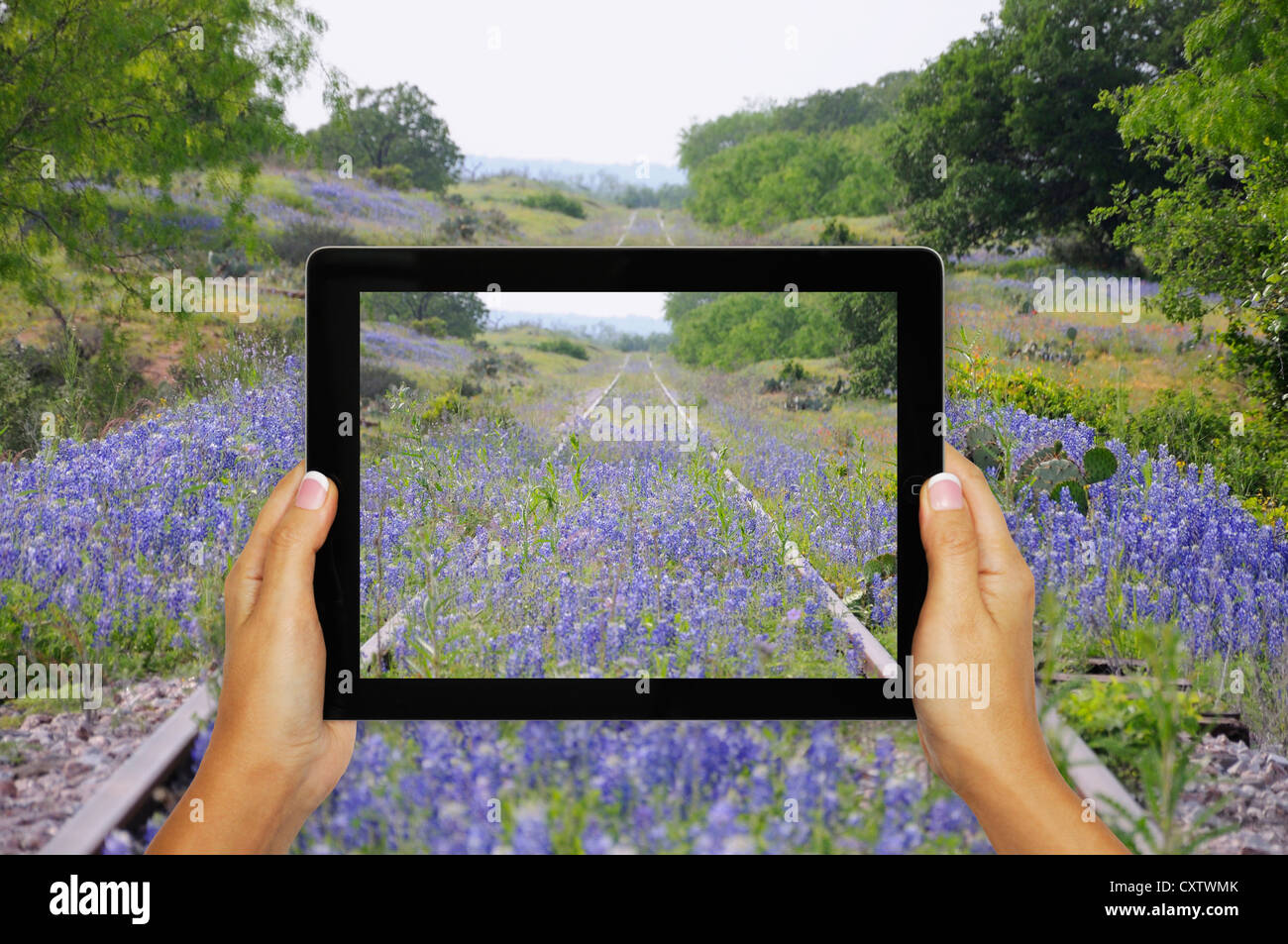 Prendere foto con tablet Foto Stock