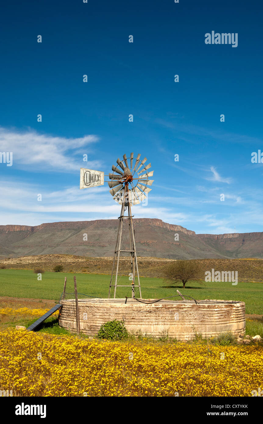 Solarenergy-supportato il mulino a vento di una pompa irrigatoria nel Hantam Karoo, Sud Africa Foto Stock