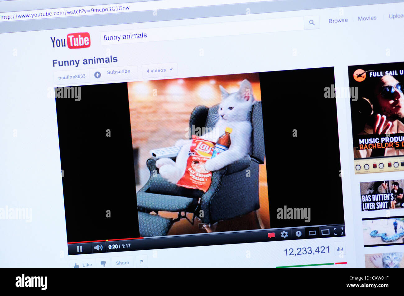 Sito web di YouTube - On line il video di animali divertenti Foto Stock