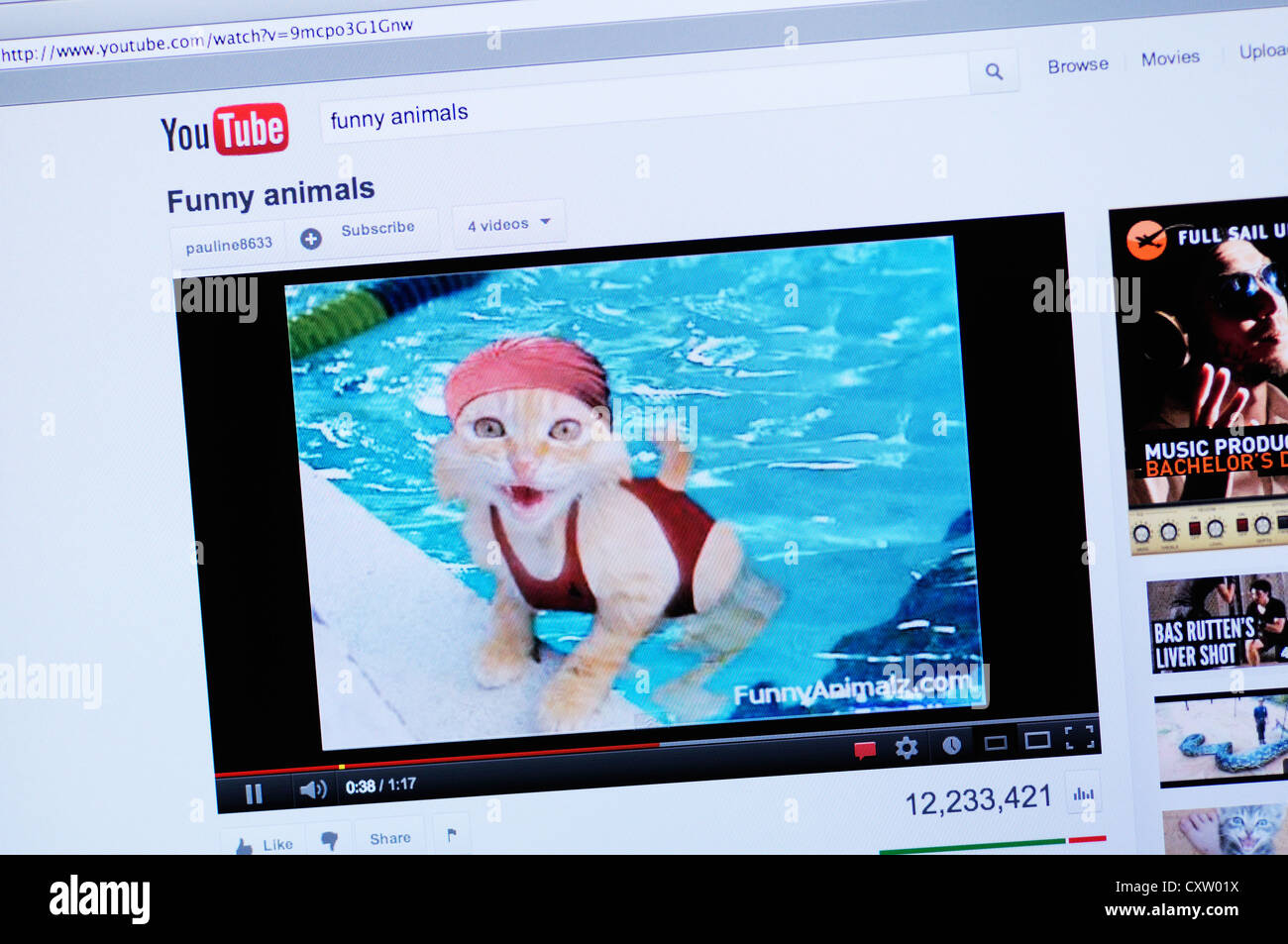 Sito web di YouTube - On line il video di animali divertenti Foto Stock