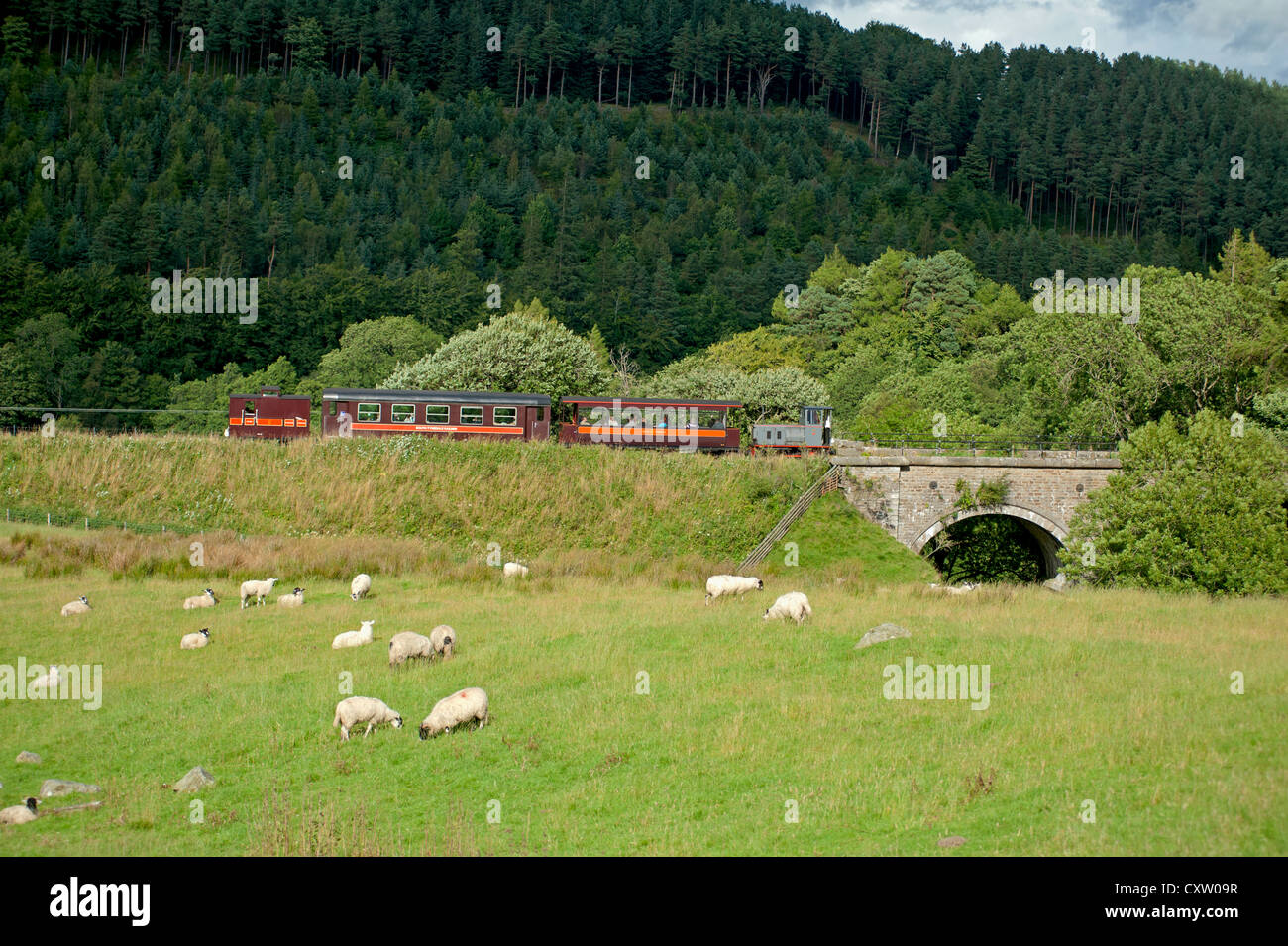 South Tynedale Railway Inghilterra la più alta ferrovia a scartamento ridotto, Northumberland. SCO 8643 Foto Stock