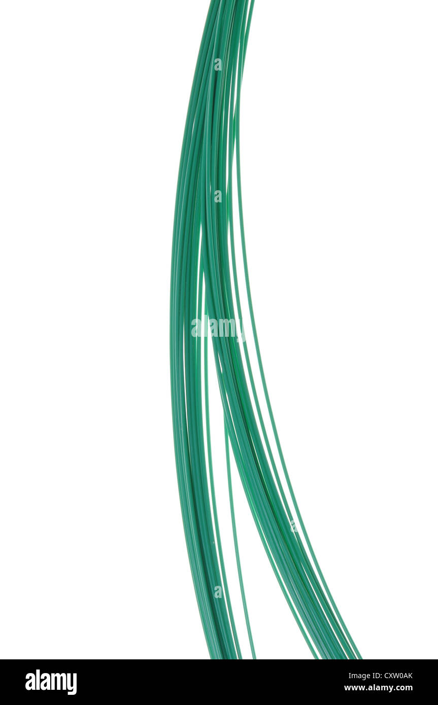 Filo verde isolato su sfondo bianco Foto Stock