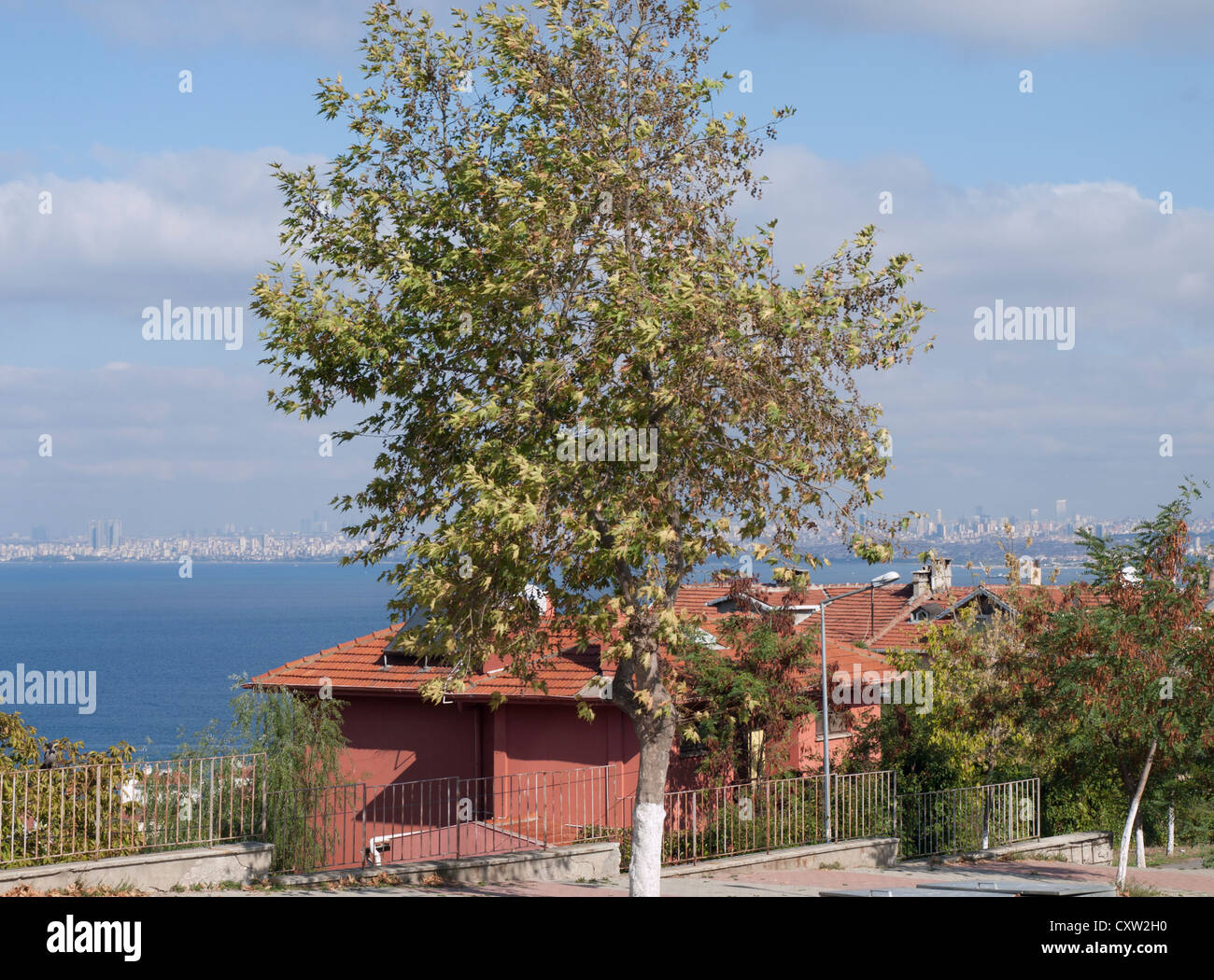 Vista dalla cima di una collina a Buyukada uno dei principi isole nel Mar di Marmara, skyline di Istanbul in background Foto Stock