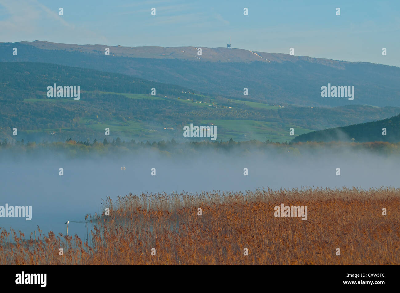 Nebbia di mattina sul lago di Neuchâtel con Chasseral Ridge in aumento in background Foto Stock