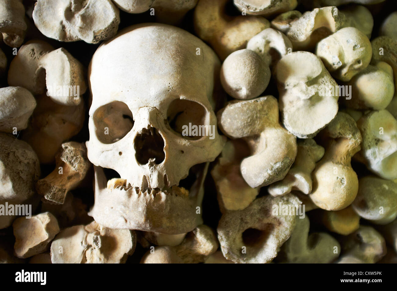 Le ossa umane nella cripta di San Leonardo la Chiesa Hythe Kent REGNO UNITO Foto Stock