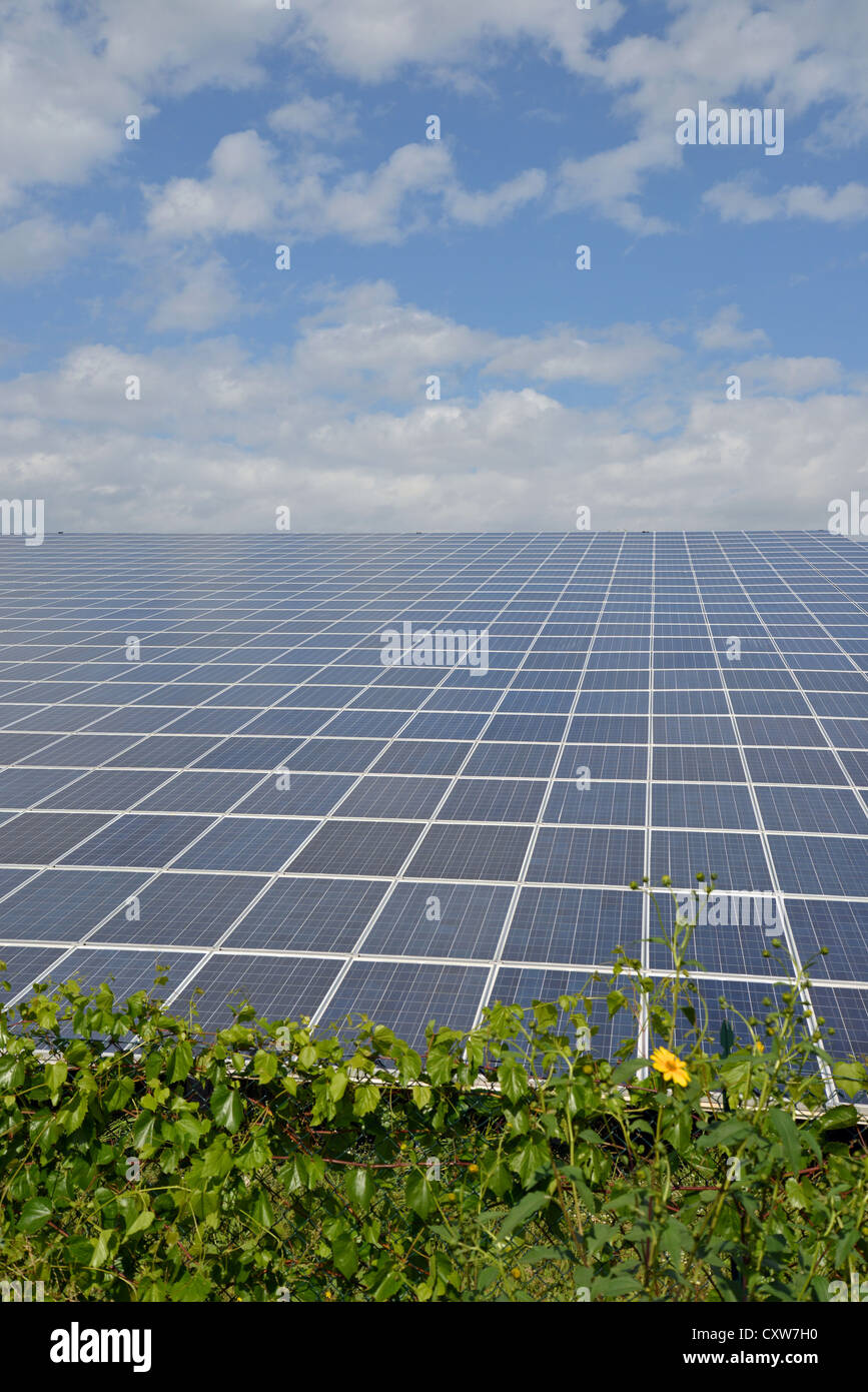 Fotovoltaico italy immagini e fotografie stock ad alta risoluzione - Alamy
