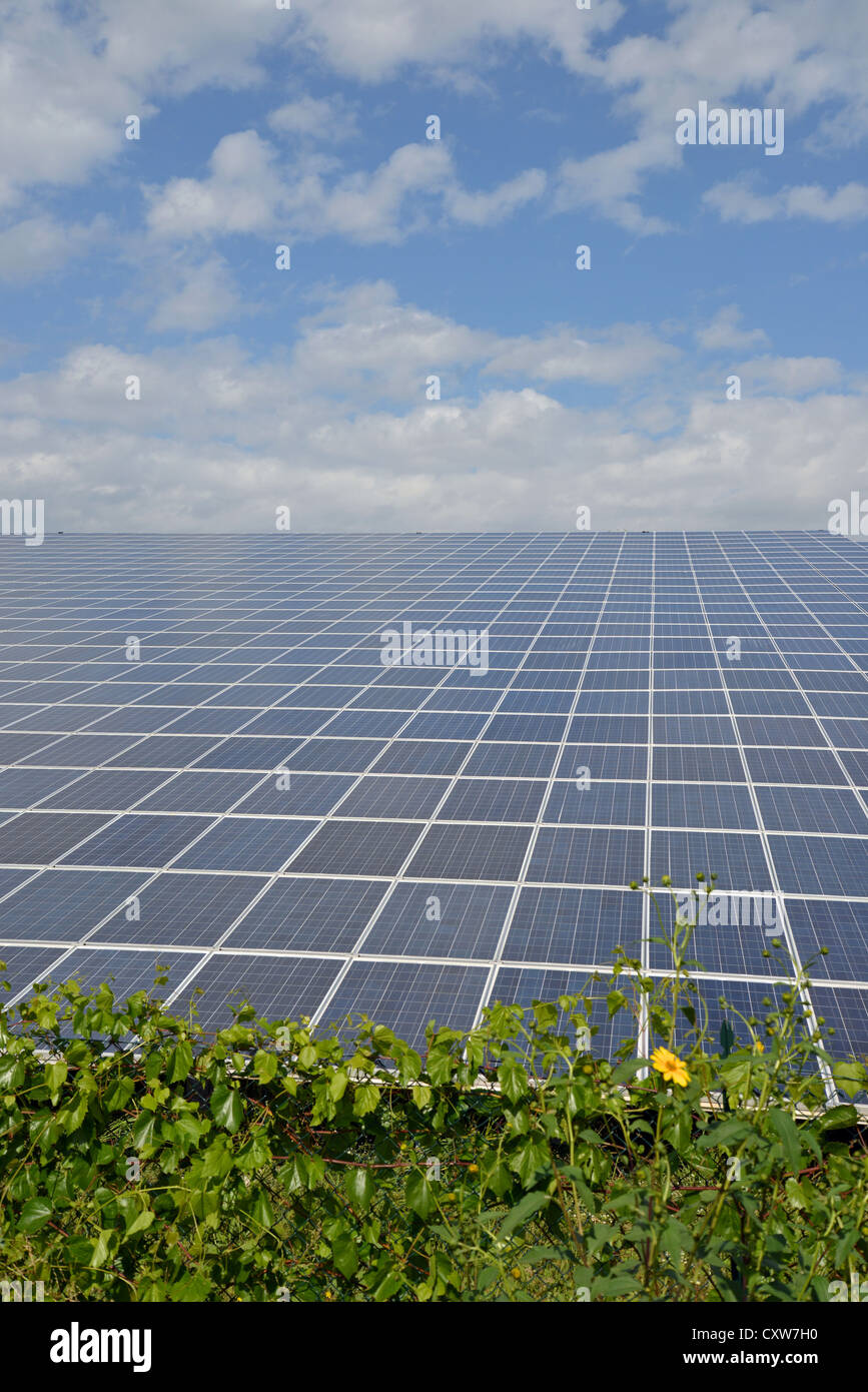 Energia fotovoltaica impianto nei pressi di Verona, provincia di Verona, regione Veneto, Italia Foto Stock