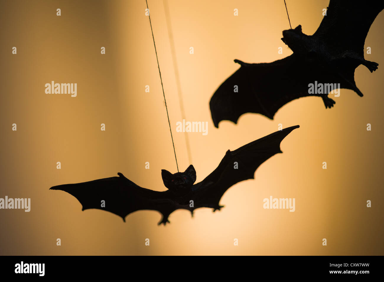 Si tratta di un immagine di decorazioni di Halloween Foto Stock