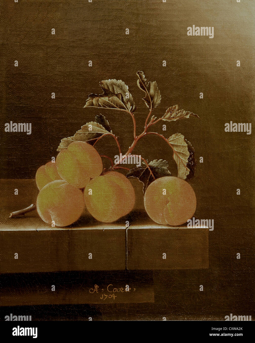 Vita morta con cinque albicocche (1704) di Adriaen Coorte (1665 – 1707 ?) Pittore olandese dell'età dell'oro di vite still. Foto Stock